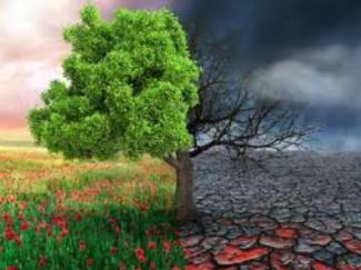 environnement